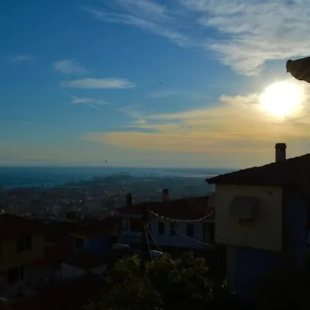 Panoramic Views Of Center *