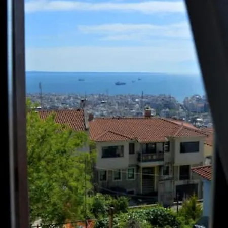 Panoramic Views Of Center